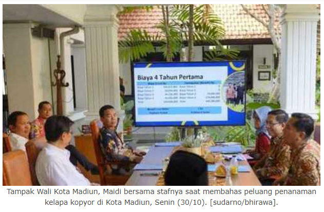 Wali Kota Maidi Coba Kembangkan Kelapa Kopyor di Kota Madiun