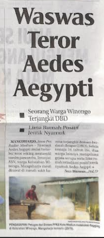 Waswas Teror Aedes Aegypti, Seorang Warga Winongo Terjangkit DBD, Lima Rumah Positif Jentik Nyamuk