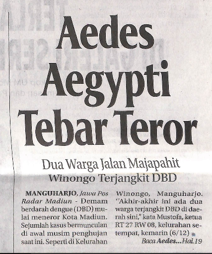Aedes Aegypti Tebar Teror, Dua Warga Jalan Majapahit Winongo Terjangkit DBD