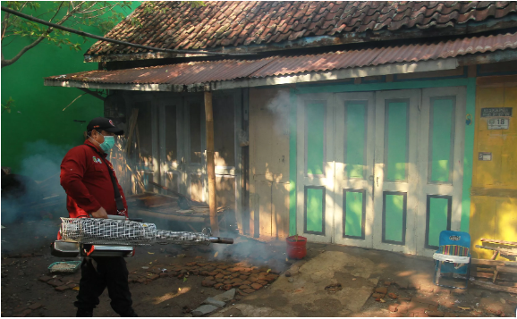 Aedes Aegypti Ancam Kota Madiun, Dua Warga Jalan Majapahit Winongo Terjangkit DBD