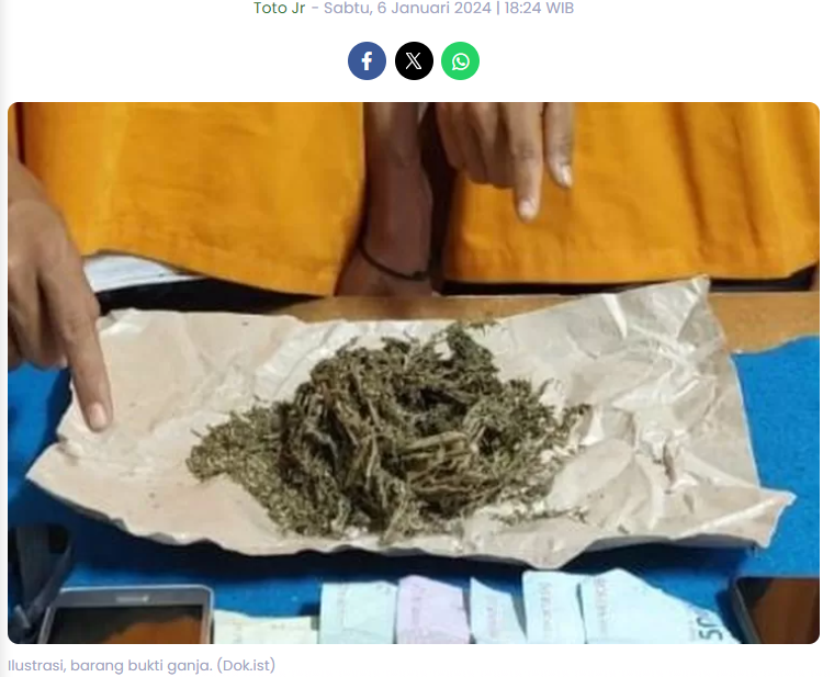 Punya Ganja Siap Edar, Pemuda 20 Tahun di Madiun Ditangkap Polisi