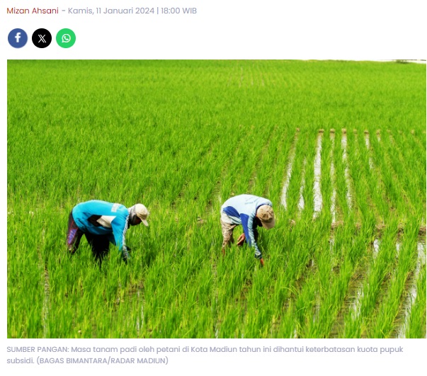 Malangnya Nasib Petani Kota Madiun: Jatah Pupuk Subsidi Susut, Jauh dari Usulan RDKK