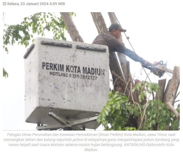 Disperkim Kota Madiun pangkas pohon rawan tumbang saat cuaca ekstrem