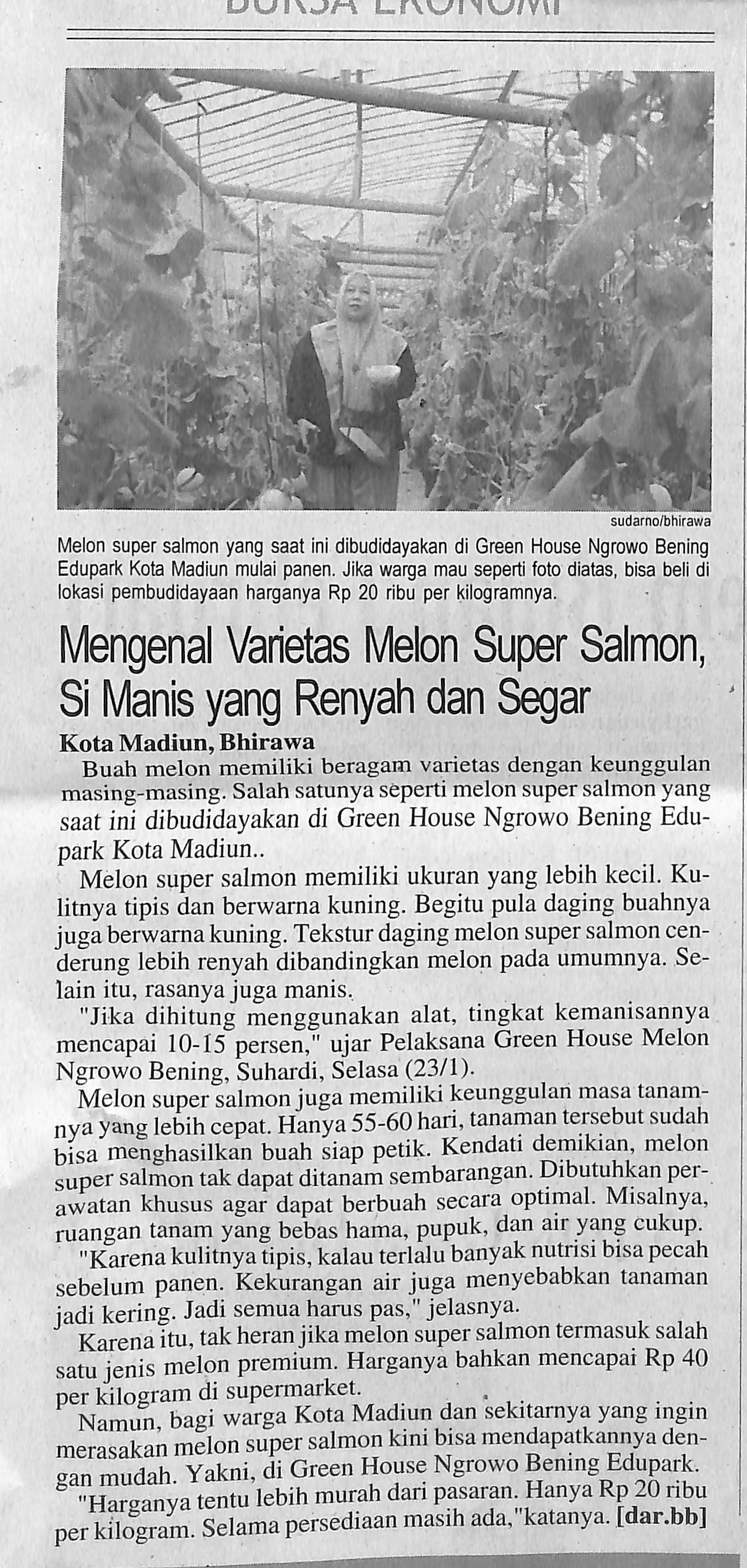 Mengenal Varietas Melon Super Salmon, Si Manis yang Renyah dan Segar