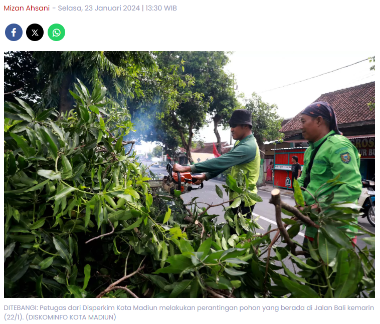 Musim Hujan, Disperkim Kota Madiun Rajin Pangkas Ranting Pohon sebelum Tumbang