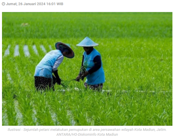 Dinas Pertanian Kota Madiun anggarkan Rp1,5 miliar untuk pupuk gratis