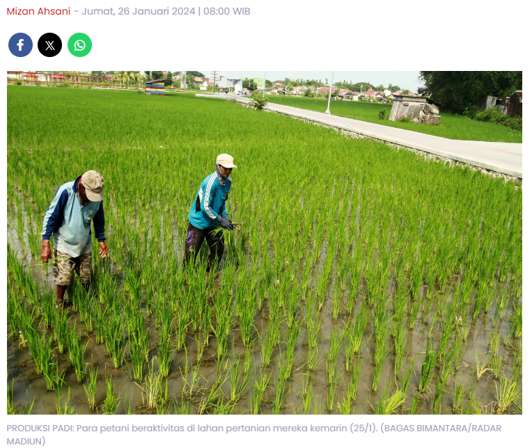 Dongkrak Produksi Pertanian di Kota Madiun, Pemkot Alokasikan Bantuan Subsidi Pupuk Rp 1,5 M