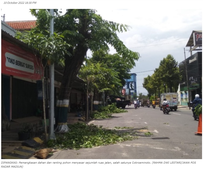 Antisipasi Pohon Tumbang, Disperkim Kota Madiun Pangkas Pohon di Jalan Protokol