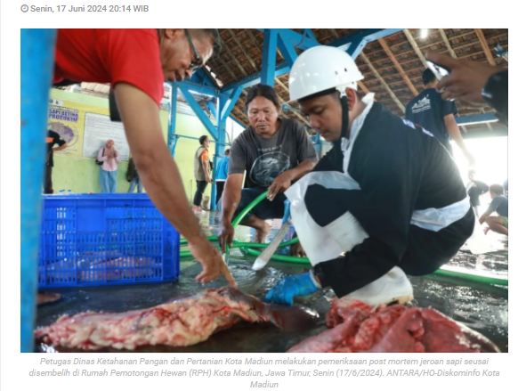 Kota Madiun periksa daging kurban setelah proses penyembelihan