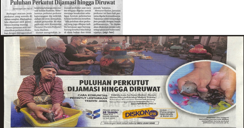 Puluhan Perkutut Dijamasi Hingga Dirruwat