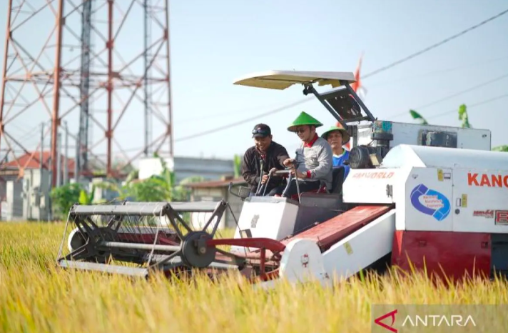 Pemkot Madiun dukung petani optimalkan produktivitas padi