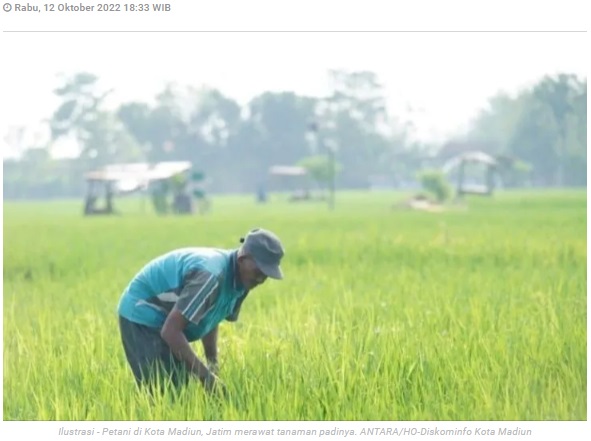 Pemkot Madiun: 75 hektare sawah gagal panen dapat ganti rugi asuransi