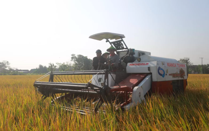 Masuk Musim Kemarau, Pj Wali Kota Madiun Ingatkan Petani Bijak Pakai Air