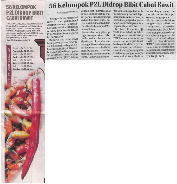 56 Kelompok P2L Di Drop Bibit Cabai Rawit