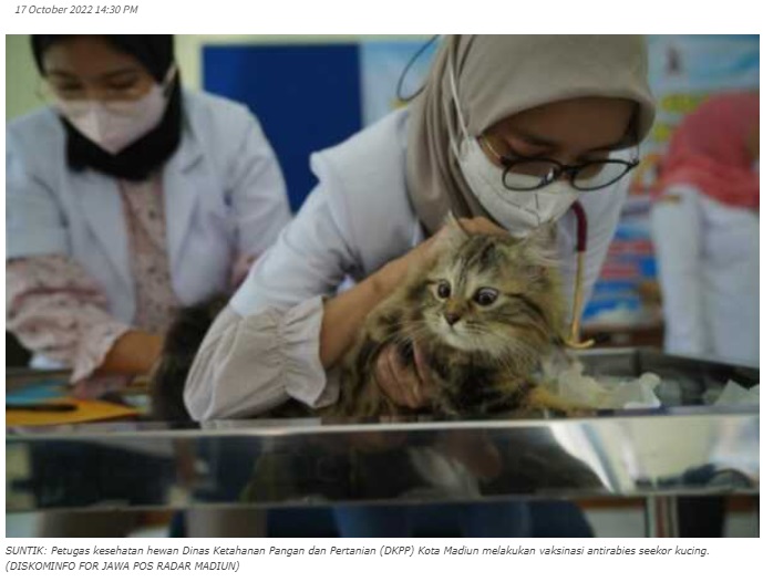 Pemkot Madiun Gelar Vaksinasi Antirabies Gratis, Simak Tanggalnya