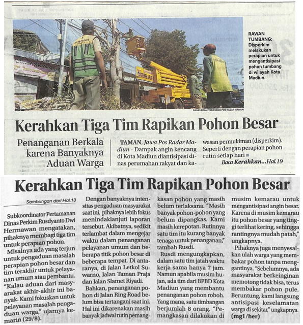 Kerahkan Tiga Tim Rapikan Pohon Besar, Penanganan Berkala Karena Banyaknya Aduan Warga
