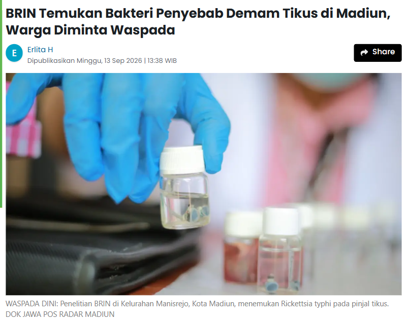 BRIN Temukan Bakteri Penyebab Demam Tikus di Madiun, Warga Diminta Waspada