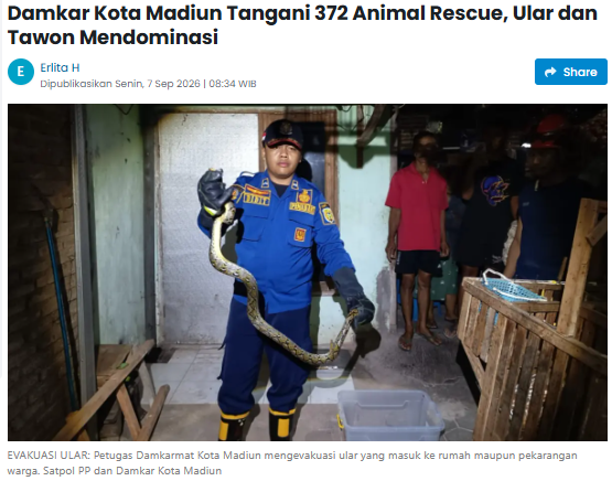 Damkar Kota Madiun Tangani 372 Animal Rescue, Ular dan Tawon Mendominasi