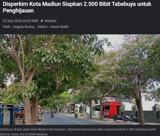 Disperkim Kota Madiun Siapkan 2.500 Bibit Tabebuya untuk Penghijauan