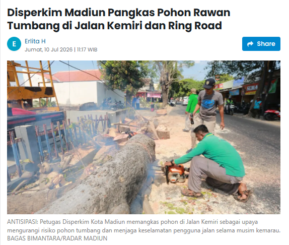 Disperkim Madiun Pangkas Pohon Rawan Tumbang di Jalan Kemiri dan Ring Road