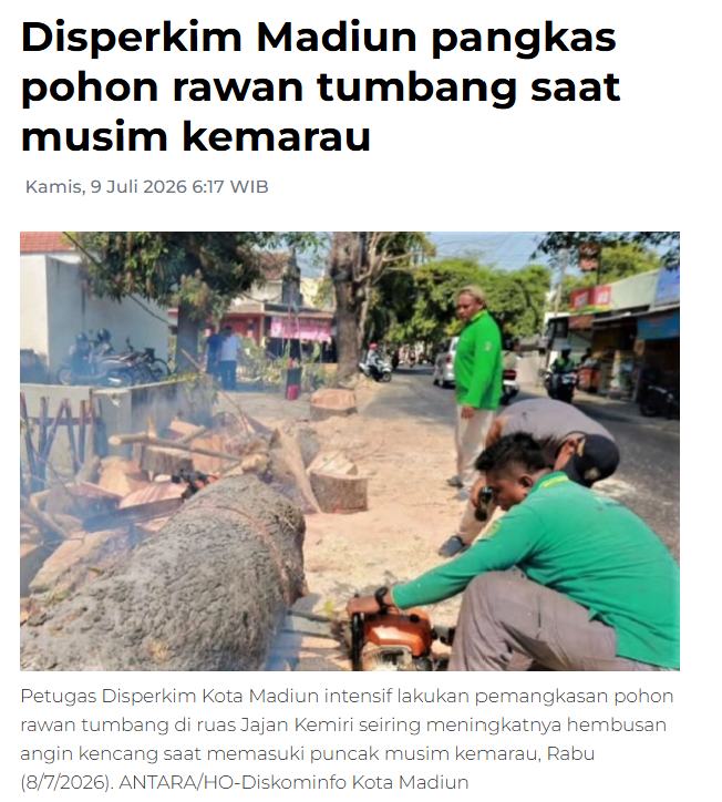 Disperkim Madiun pangkas pohon rawan tumbang saat musim kemarau