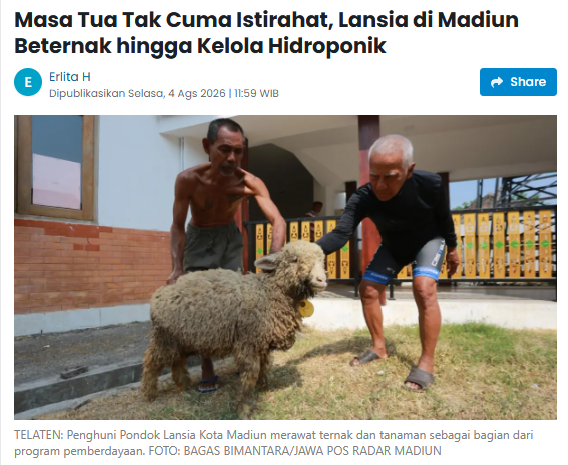 Masa Tua Tak Cuma Istirahat, Lansia di Madiun Beternak hingga Kelola Hidroponik