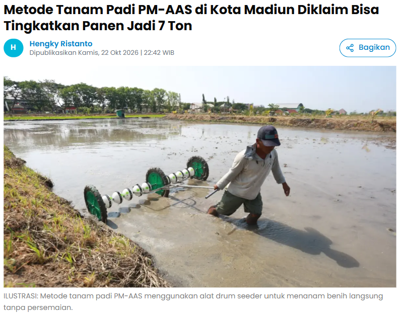 Metode Tanam Padi PM-AAS di Kota Madiun Diklaim Bisa Tingkatkan Panen Jadi 7 Ton