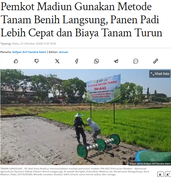 Pemkot Madiun Gunakan Metode Tanam Benih Langsung, Panen Padi Lebih Cepat dan Biaya Tanam Turun